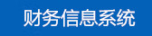 财务信息系统